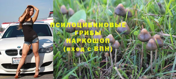 мет Алзамай