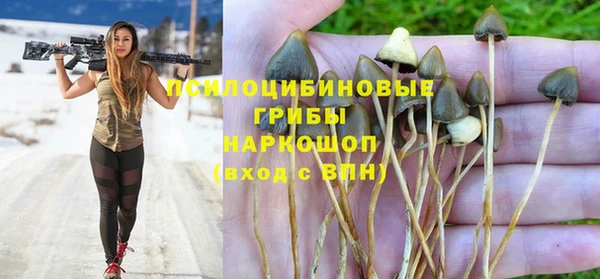 соль курить ск Аркадак