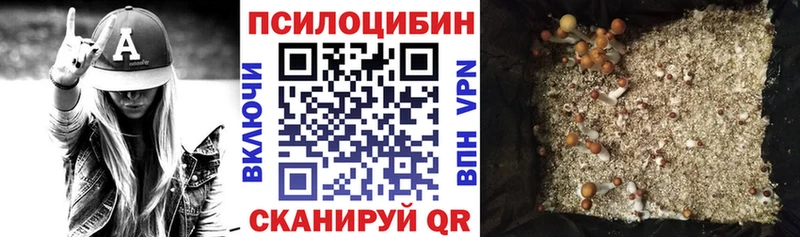 что такое наркотик shop как зайти Псилоцибиновые грибы Cubensis Нея